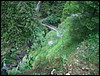 Le Tour de France 2005 (444).JPG
