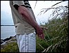 UrlaubDK2004 (18).jpg